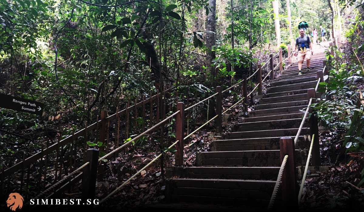 Top 10 Hiking Trails in Singapore 2024 SimiBest