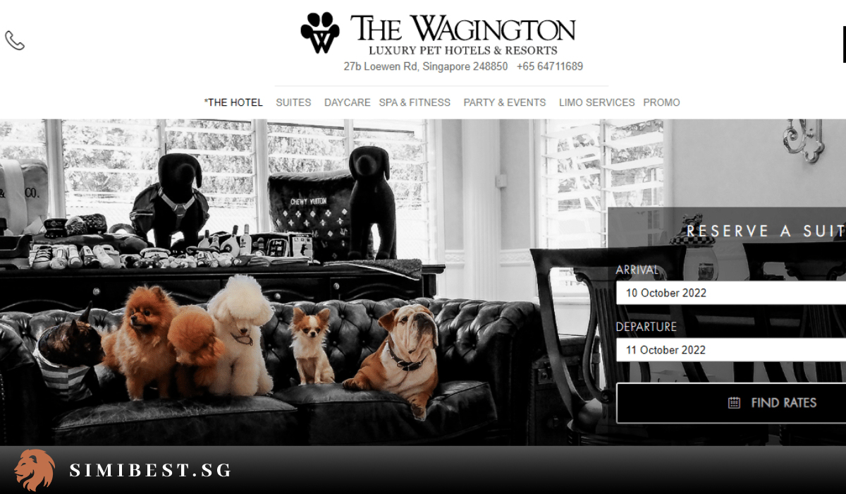 2024 10 Best Pet Hotels for Your Furry Buddies