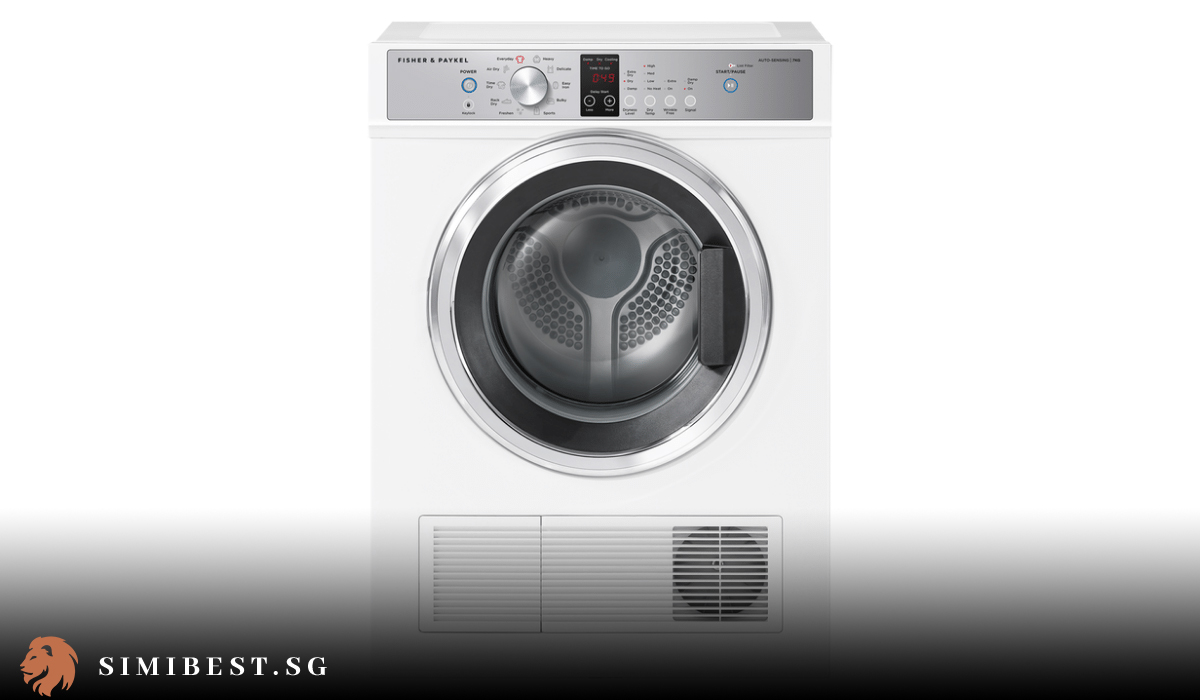 10 Best Dryer Singapore in 2024 Simibest