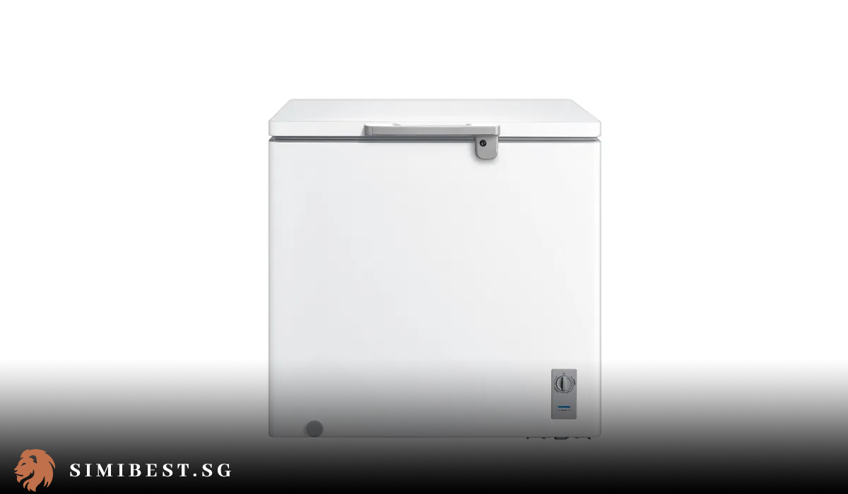 What Are Best Chest Freezers in Singapore for Food Storage?