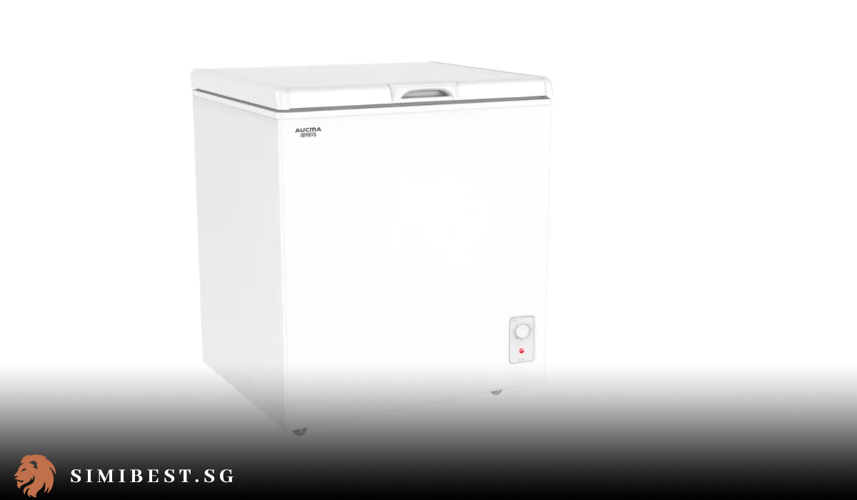 What Are Best Chest Freezers in Singapore for Food Storage?