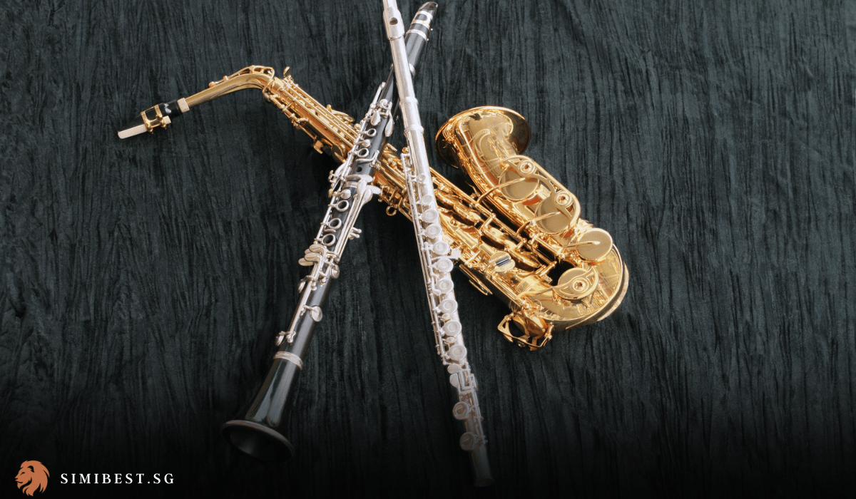 Best Saxophones In Singapore SimiBest