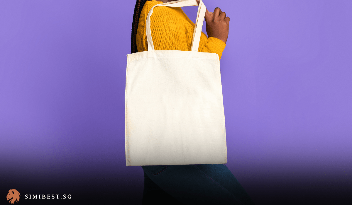 Best Tote Bags Singapore for you to carry to work
