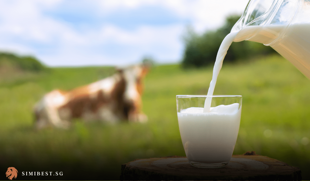 Best Cow Milk in Singapore 2024 Cream Unveiled