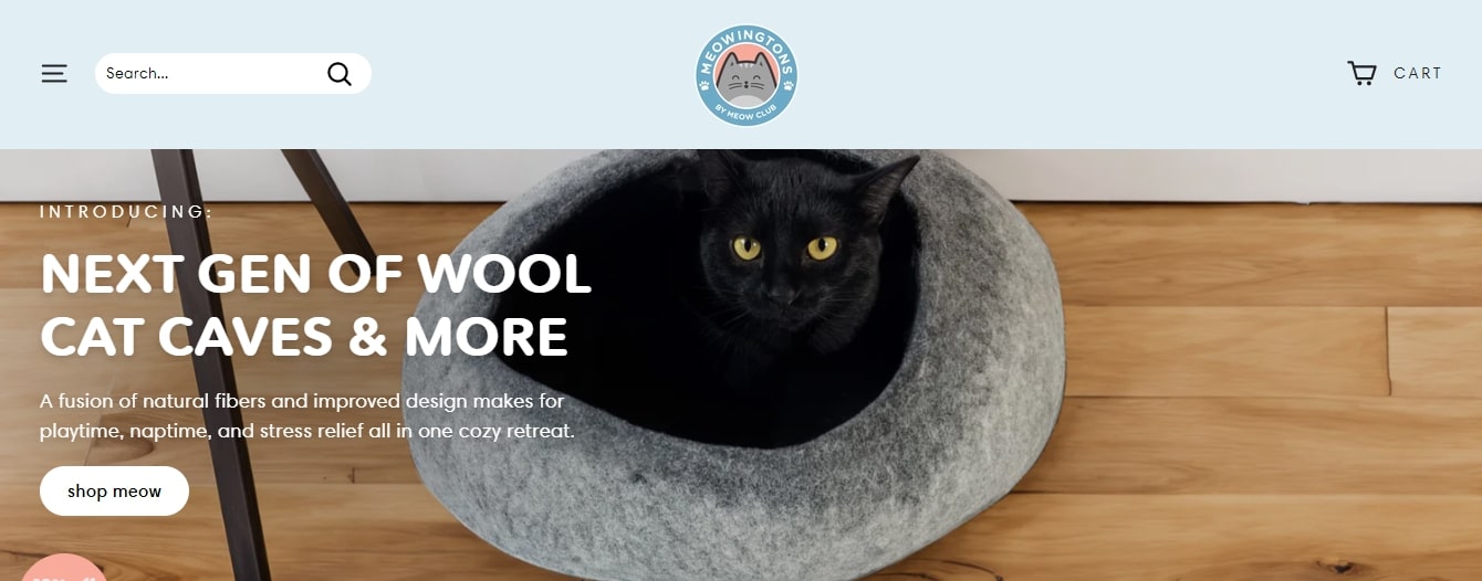 Top 10+ Shopify Dropshipping Store Examples to Gain Inspiration