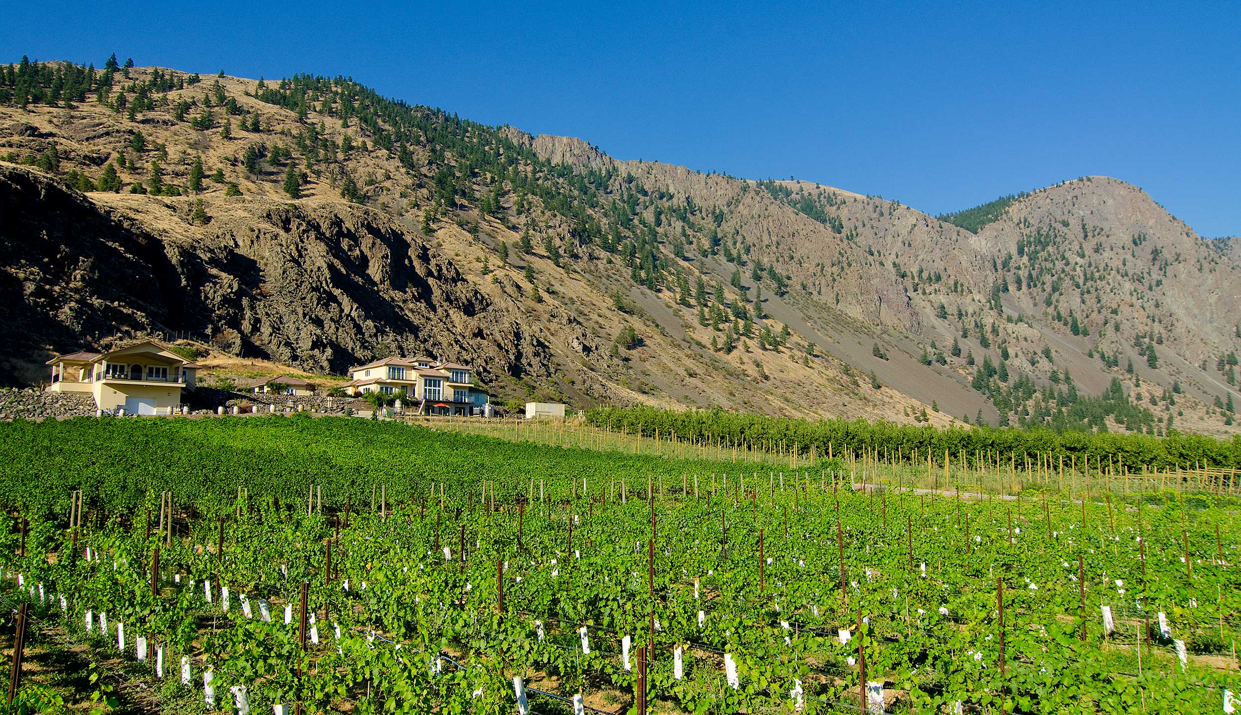 Orchard and Vineyard Stays Similkameen Valley