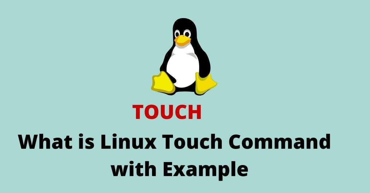 How to Use Touch Command in Linux with Example