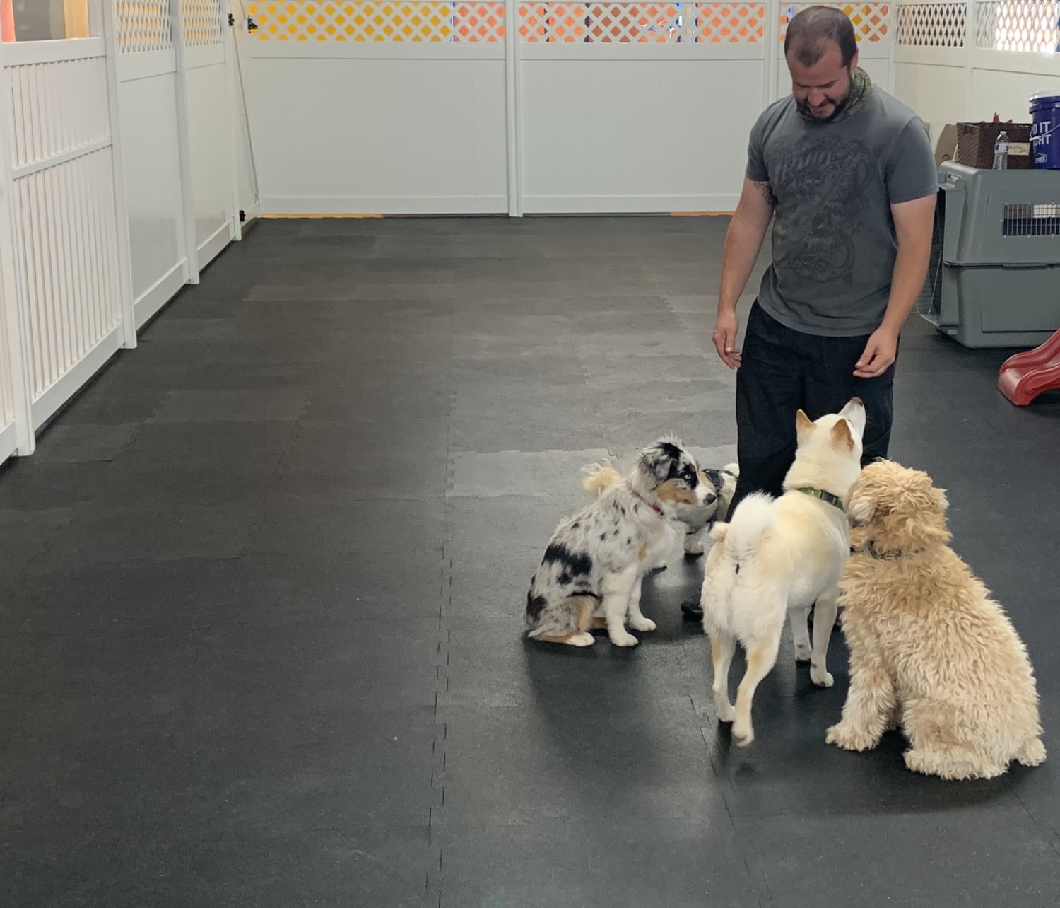 About Simi Valley Pet Resort and Spa