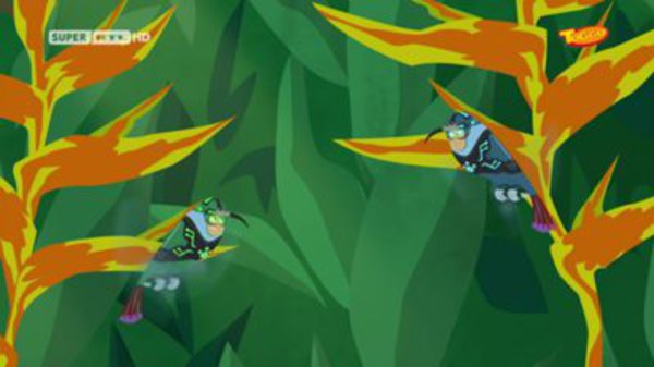 Wild Kratts Season 2 Episode 22