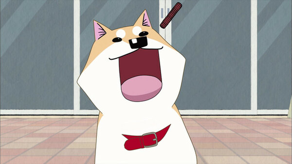 Itoshi no Muuco Episode 15 Watch Itoshi no Muuco E15 Online