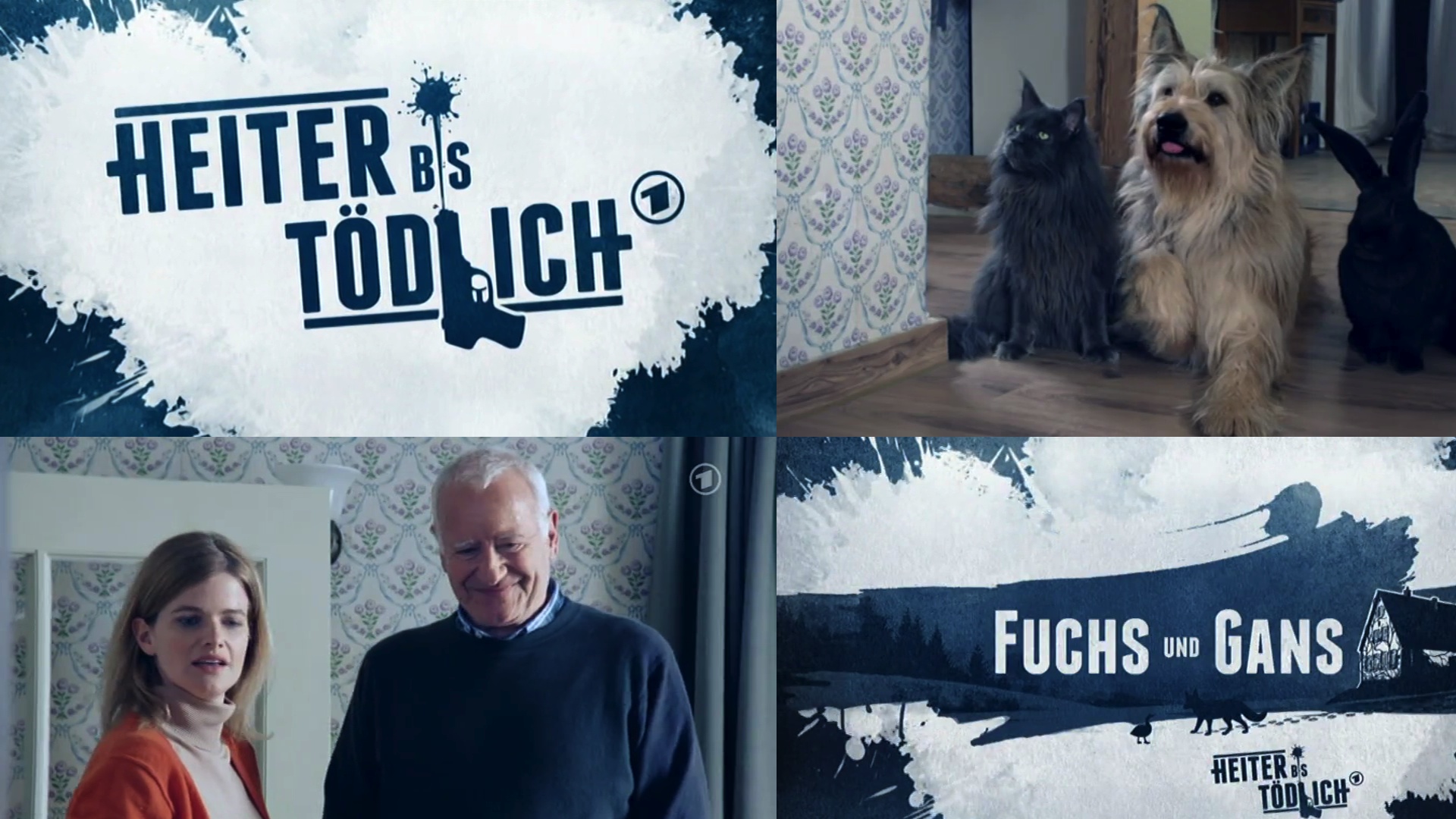 Heiter bis tödlich Fuchs und Gans (TV Series 2012 2013)