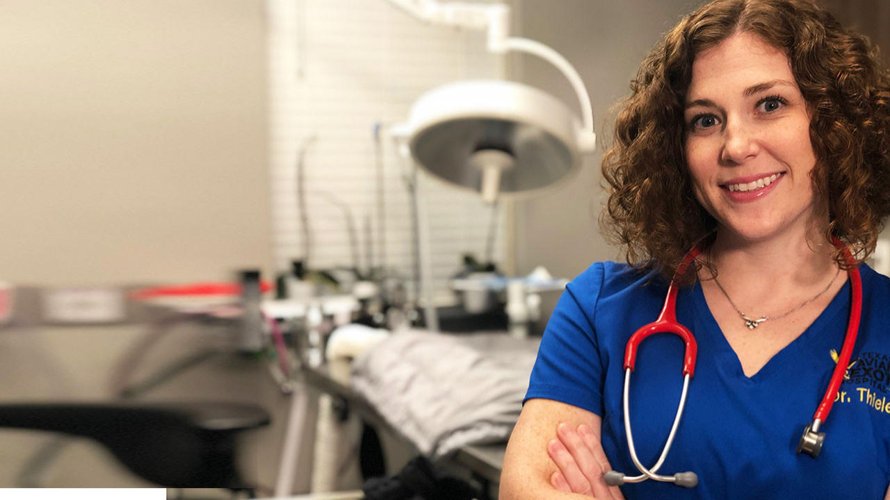 Dr. T Lone Star Vet (TV Series 2019 Now)