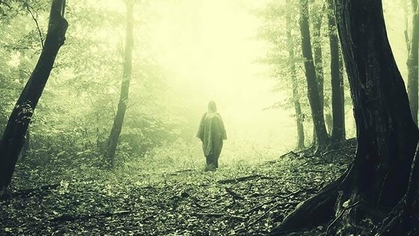 These Woods are Haunted Season 1 Episode 1