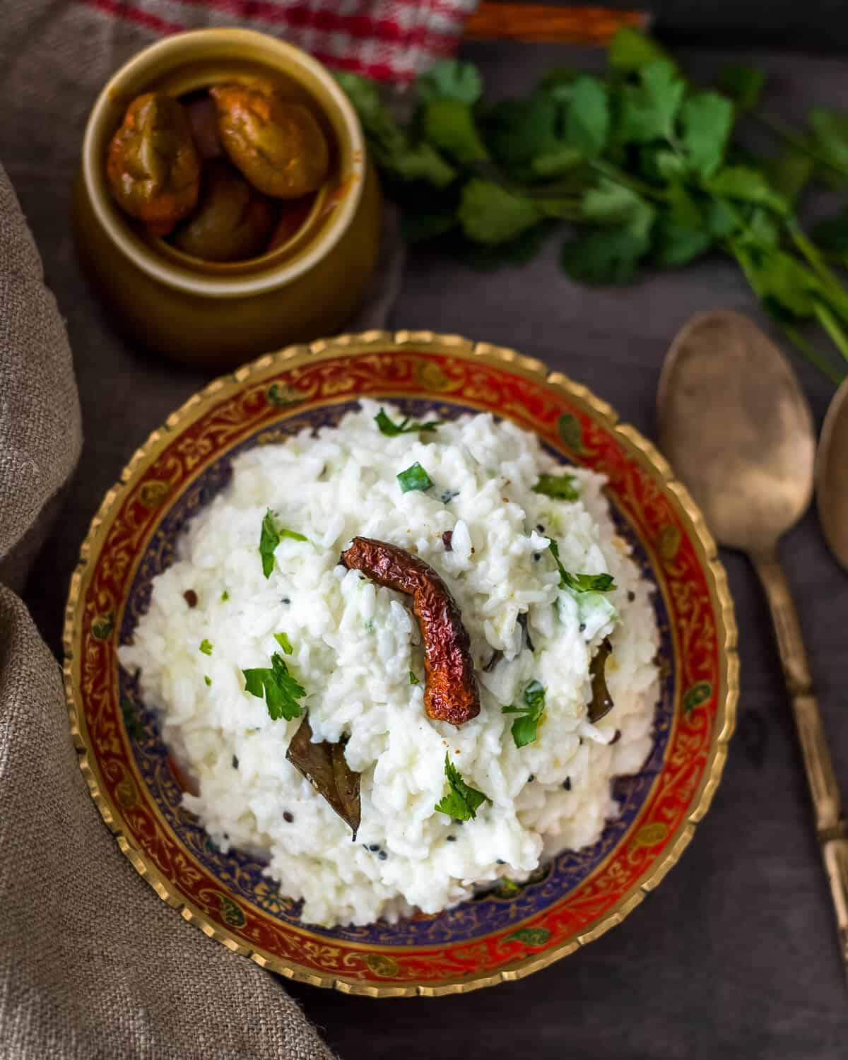 Curt Rice LIKE EVERY SOUTH INDIAN START SAYING 'YES' TO CURD RICE