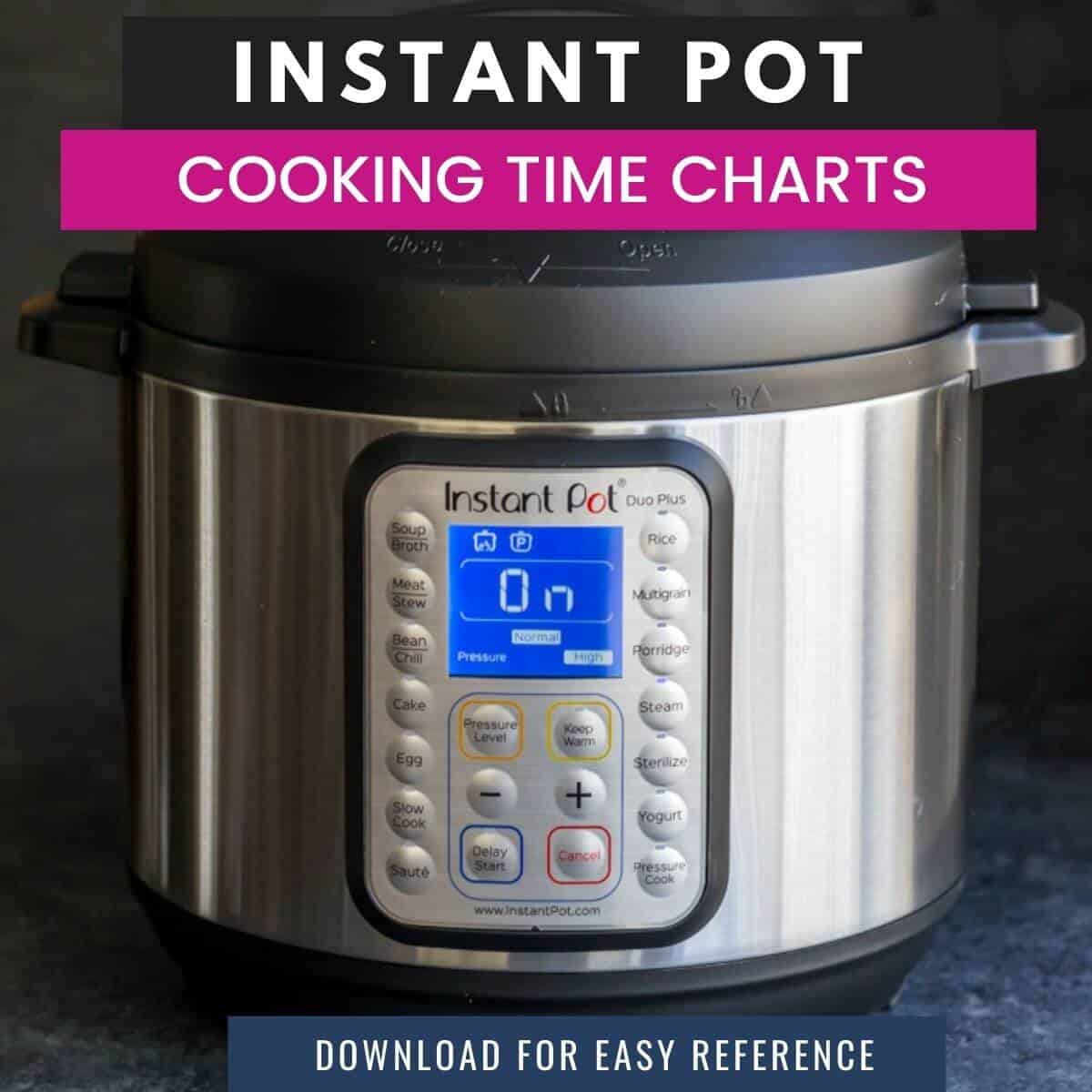 Quick and Easy Instant Pot Recipes Simmer to Slimmer