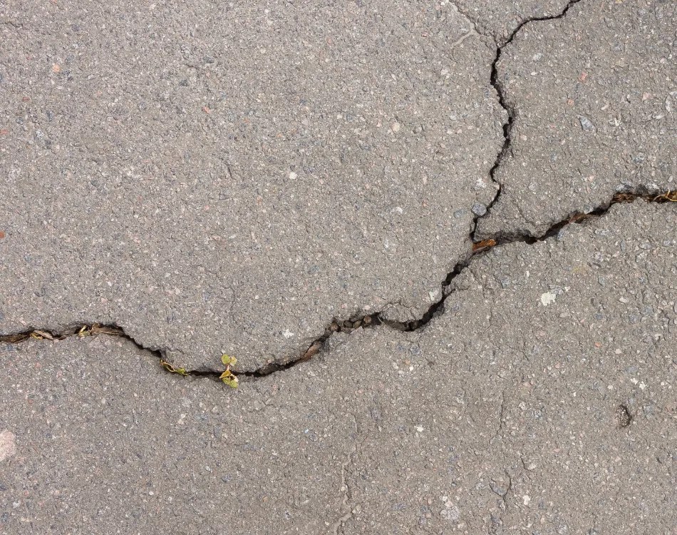 How Poor Drainage Damages Your Lawn (And How to Prevent It) 💦🌱