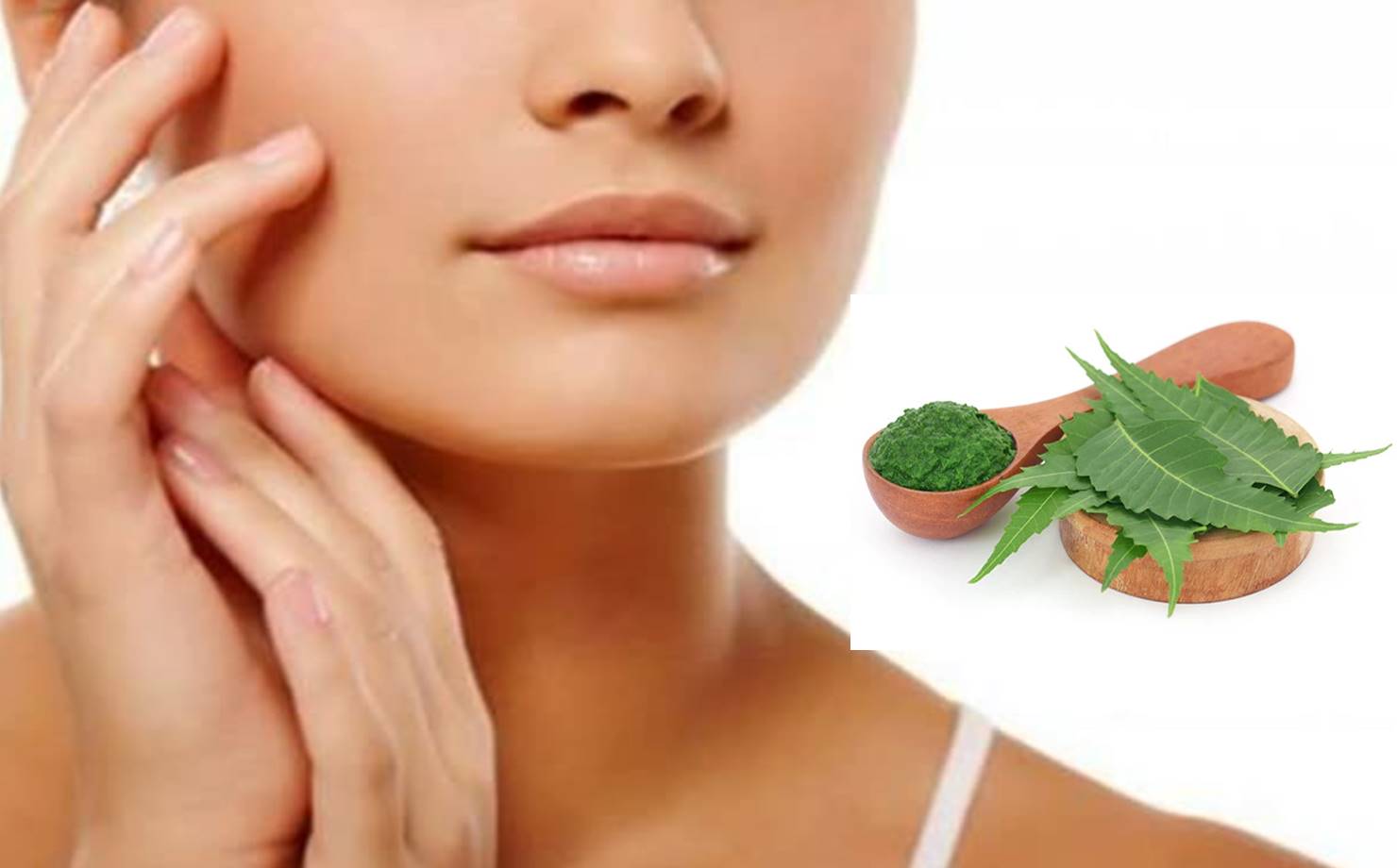 Como usar o Neem para rejuvenescer a pele e combater acne
