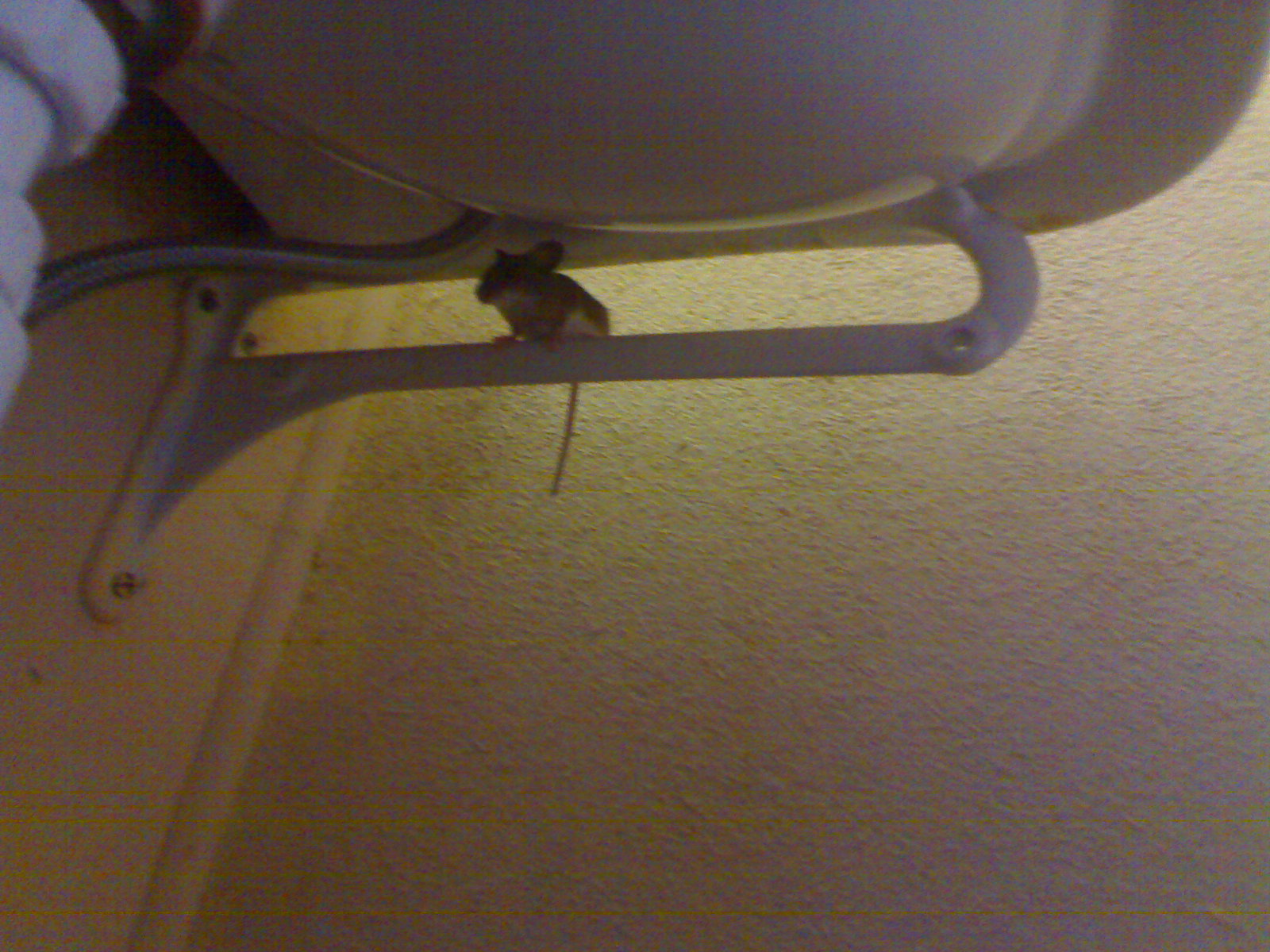 Quietude Simon Butcher