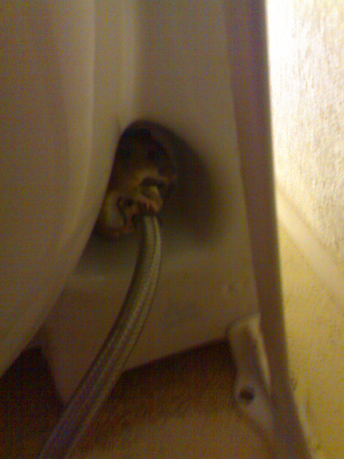 Quietude Simon Butcher