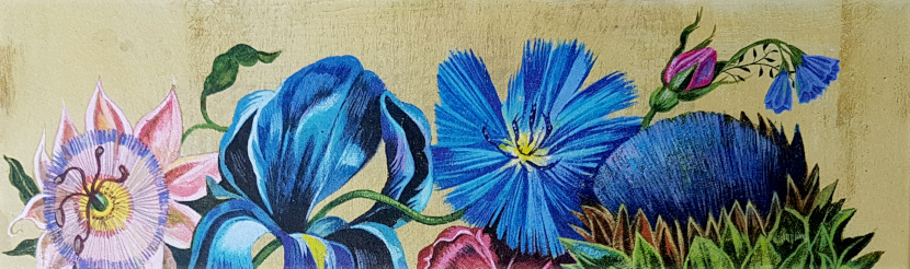„Olaf Hajeks Buch der Blumen“ Rezension auf SimoneD