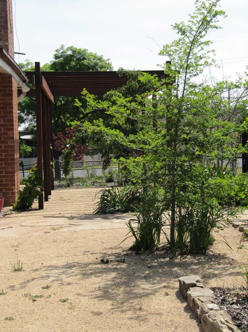 Castlemaine Cottage » Simon Ellis Landscape Architects