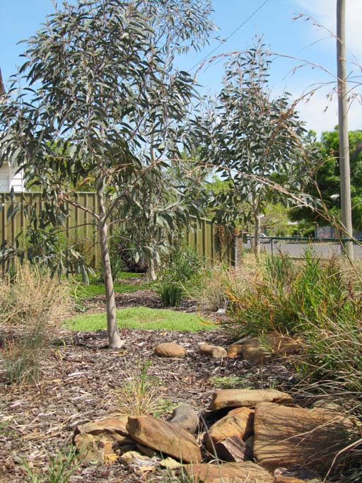 Castlemaine Cottage » Simon Ellis Landscape Architects