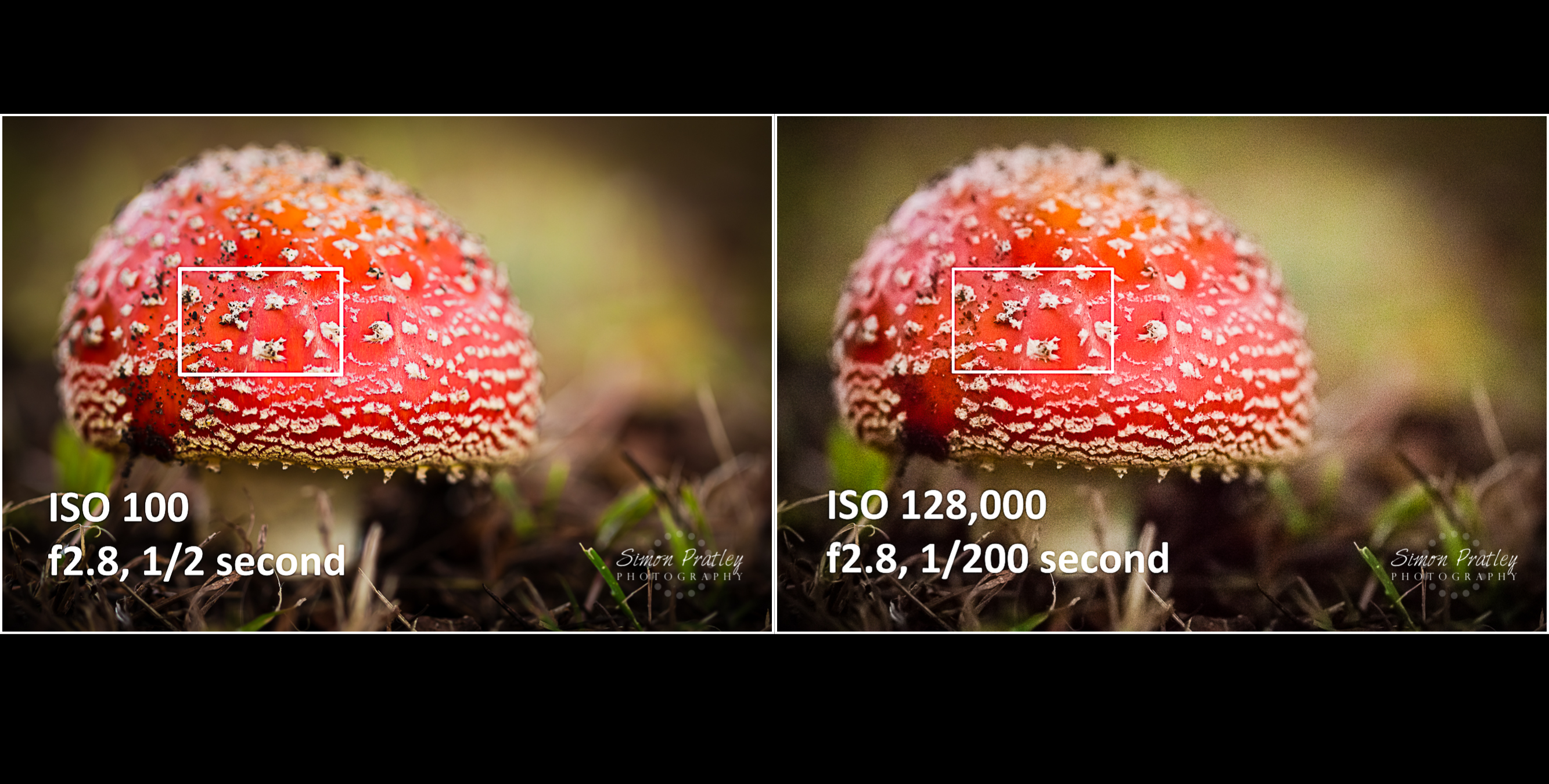 The Exposure Triangle Part 1 ISO » Simon Pratley