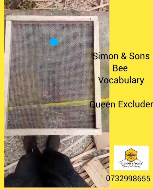 Bee Vocabulary Queen Excluder When To Use It Honeypot