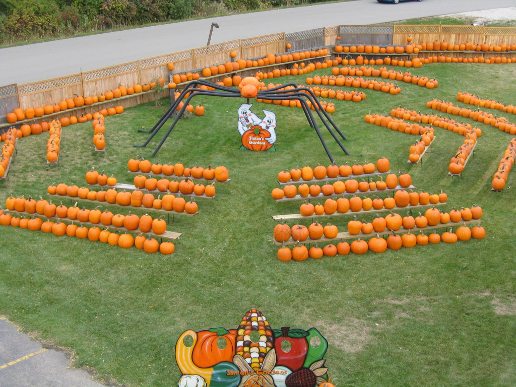 Fall Photos Page 3 Simon's Gardens