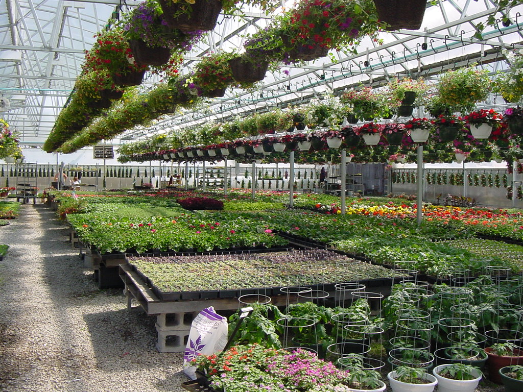 Spring Photos Page 3 Simon's Gardens