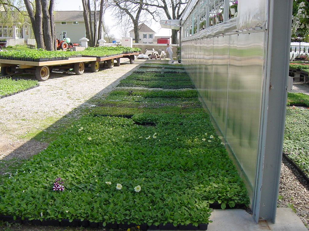 Spring Photos Page 3 Simon's Gardens