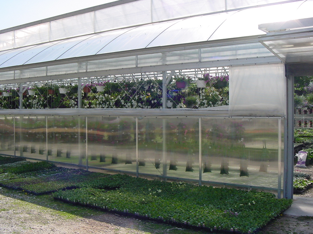 Spring Photos Page 3 Simon's Gardens