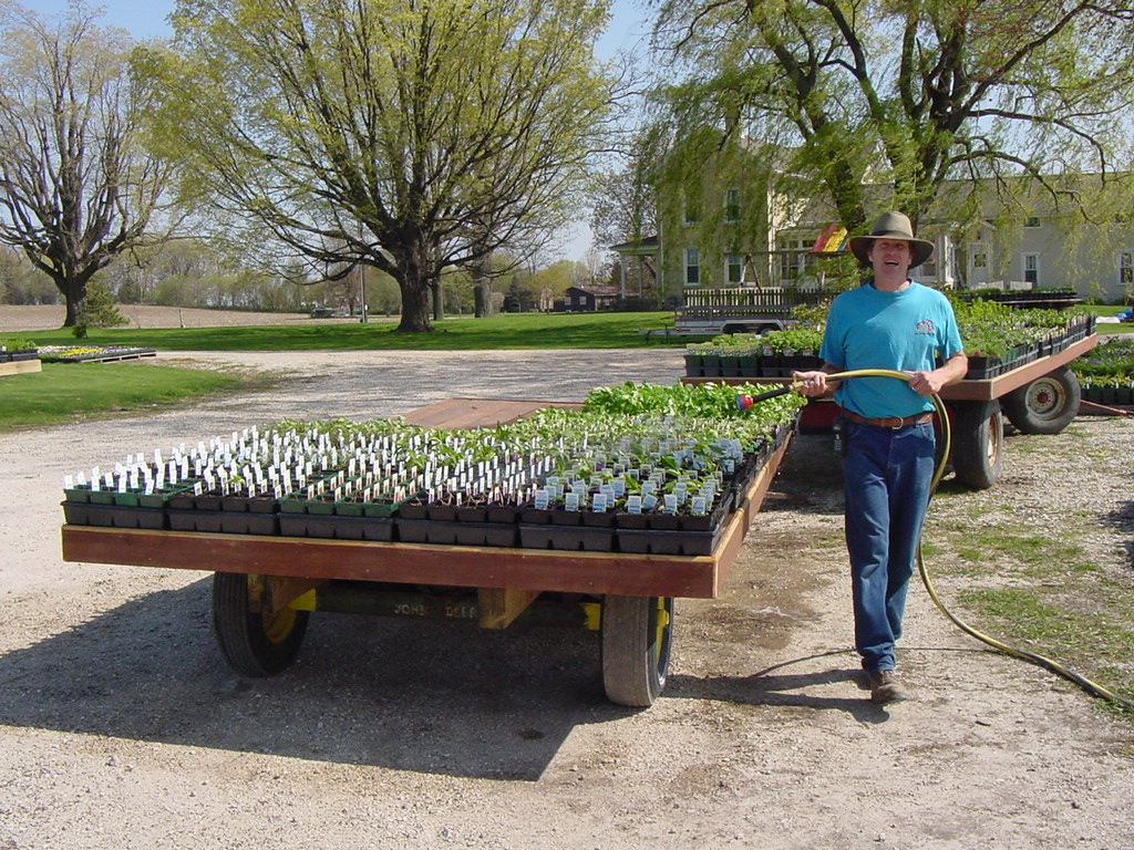 Spring Photos Page 3 Simon's Gardens