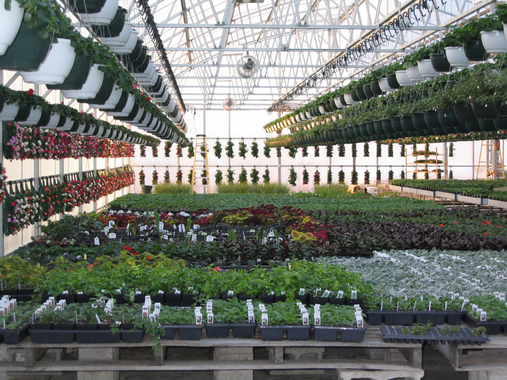 Spring Photos Page 3 Simon's Gardens