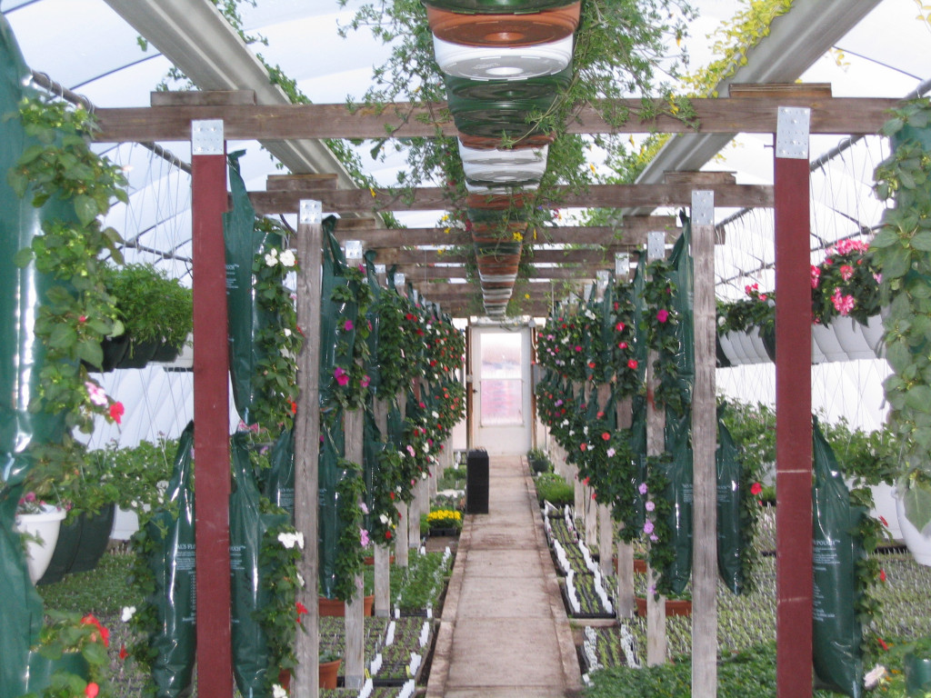 Spring Photos Page 4 Simon's Gardens