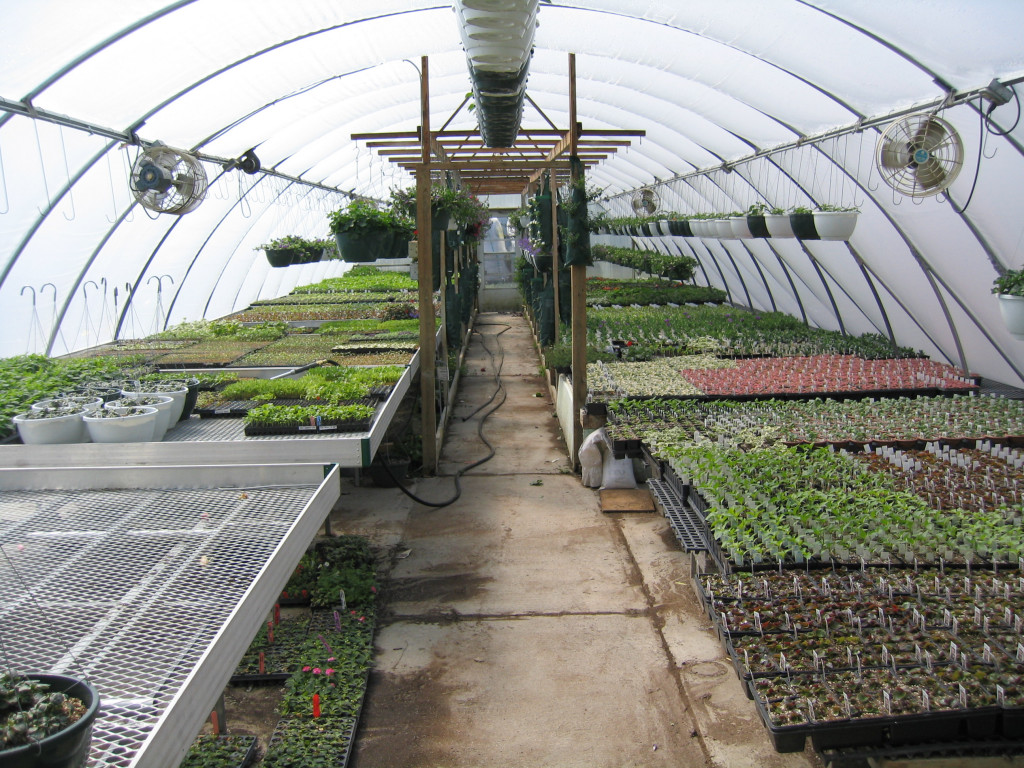 Spring Photos Page 4 Simon's Gardens