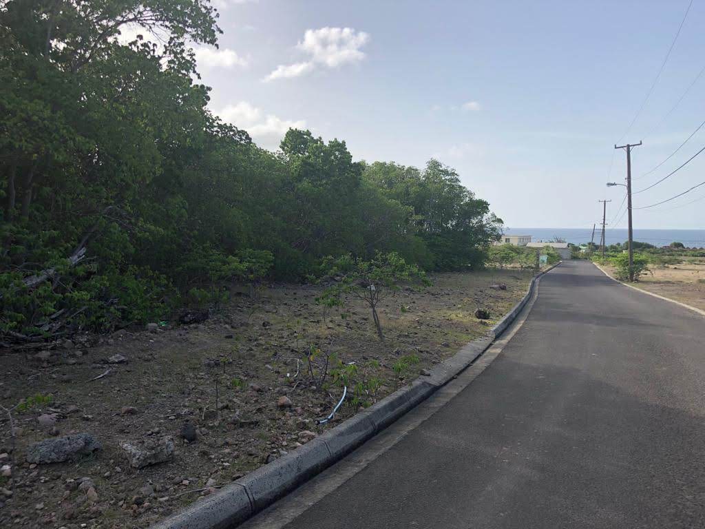 Land for Sale at Round Hill Estate, Nevis Simon Surveys
