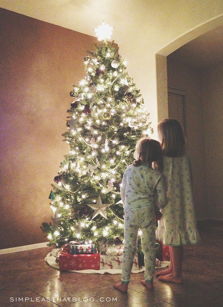 Tips for Taking Beautiful Christmas Tree Photos