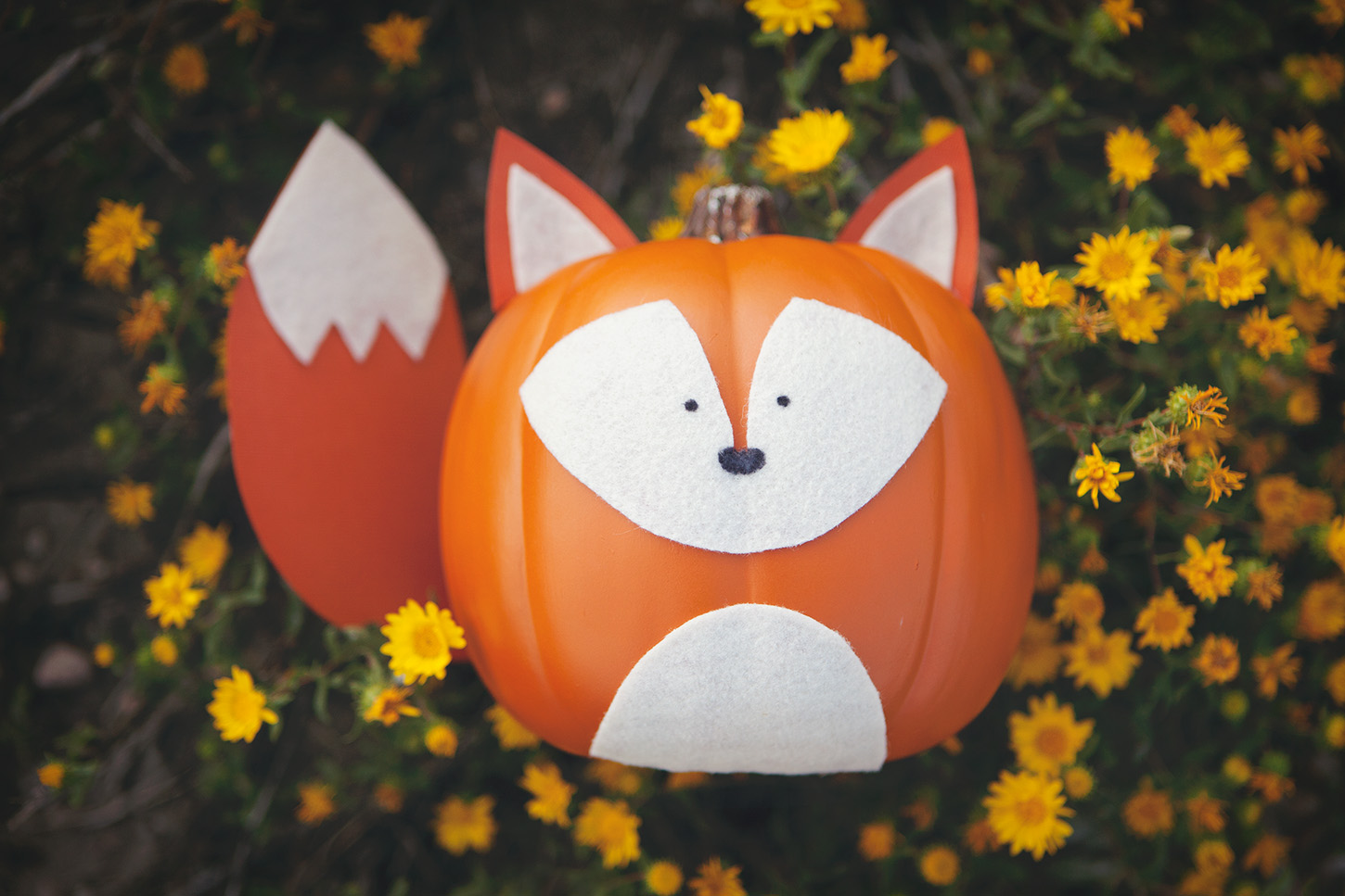 Woodland Creature NoCarve Pumpkins
