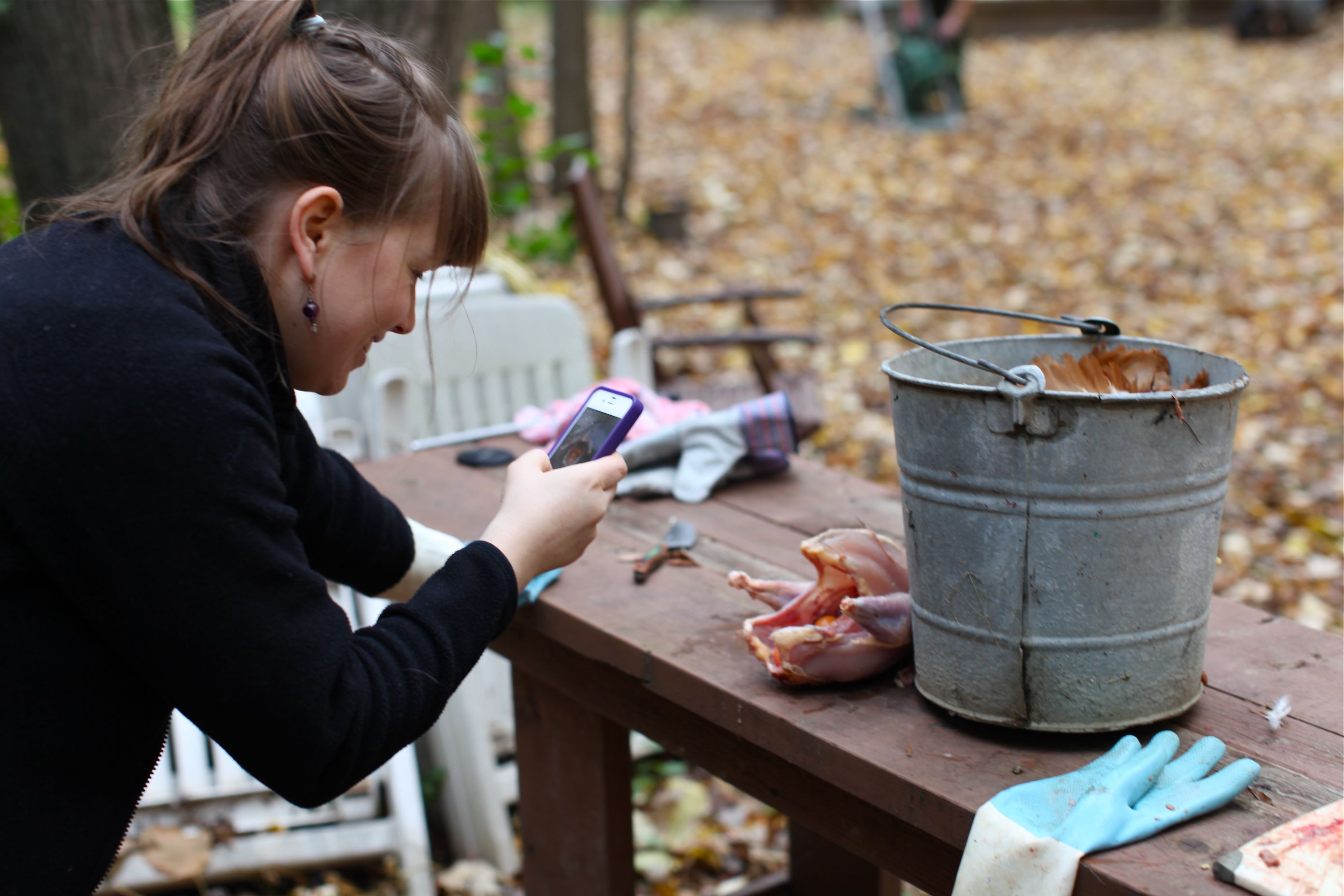 Our fall chicken harvest