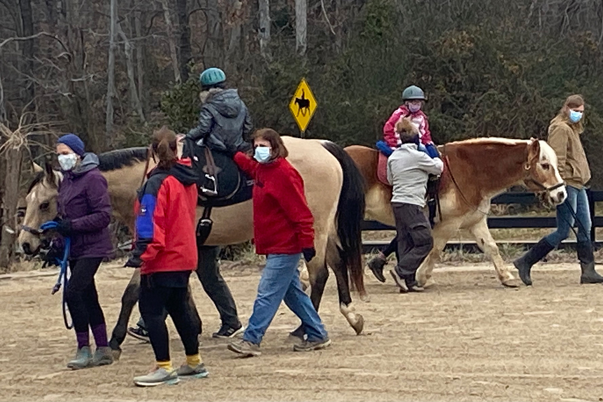 Programs Simple Changes