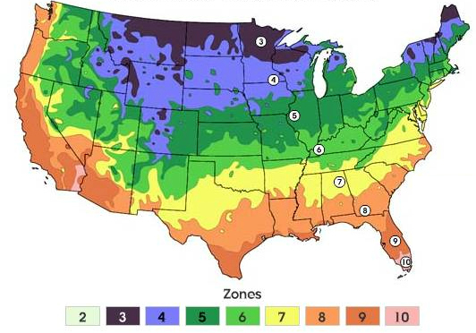 Us Department Of Agriculture Zones If you question the numbers, ask the plants Simple Climate