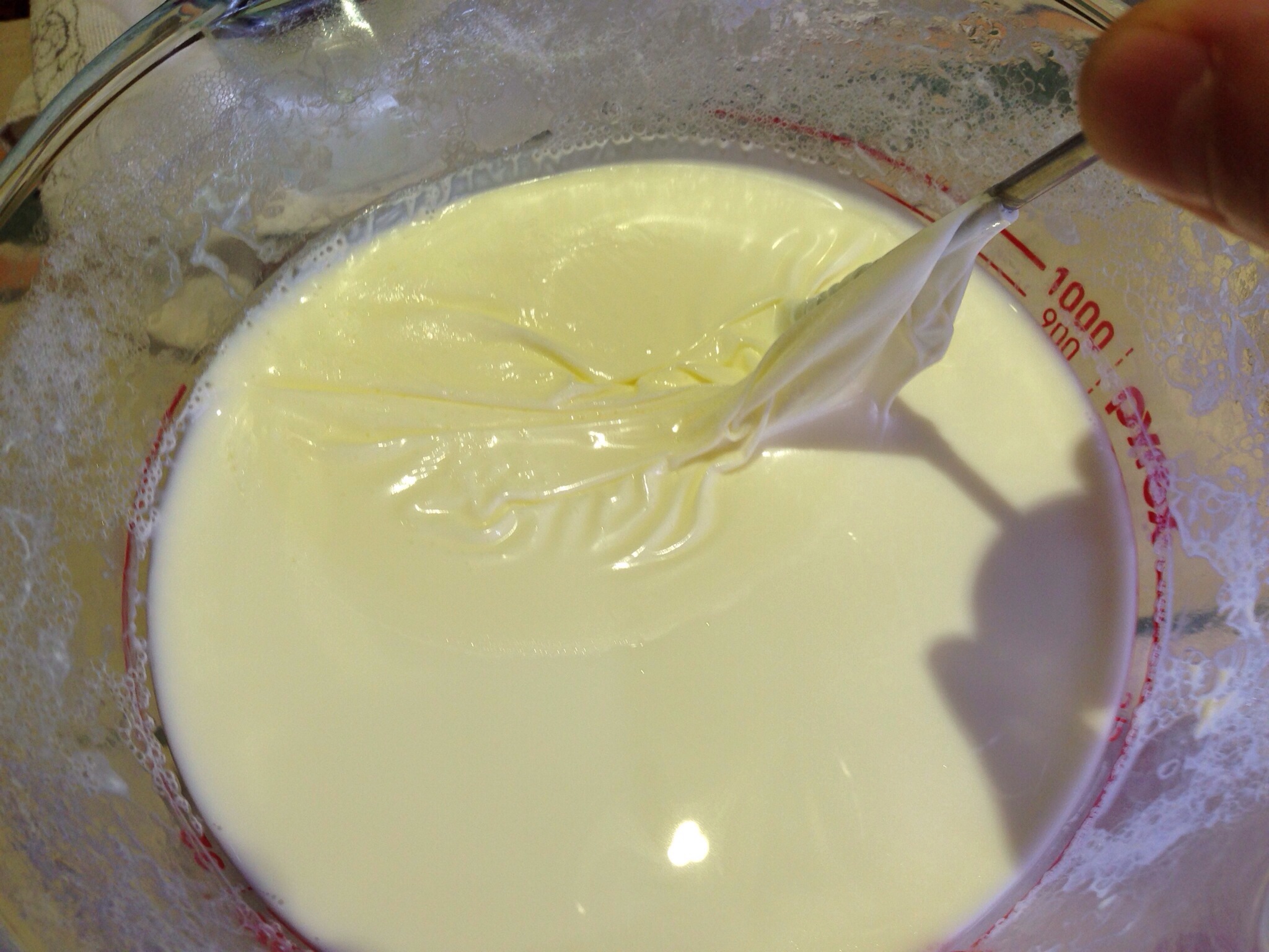 Tutorial Making yoghurt with fresh milk Simple Crafty Life