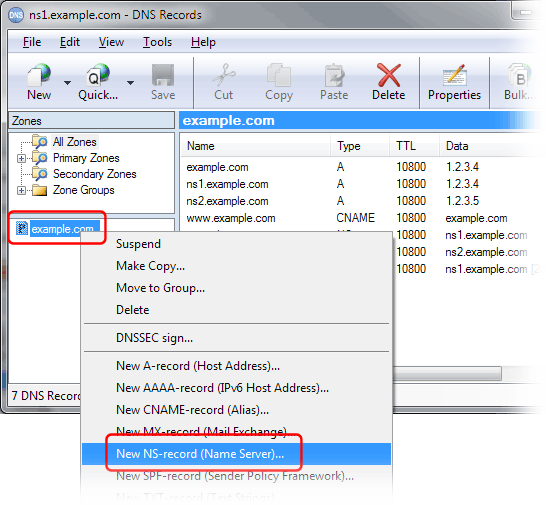 How to delegate a subdomain to other DNS servers Simple DNS Plus