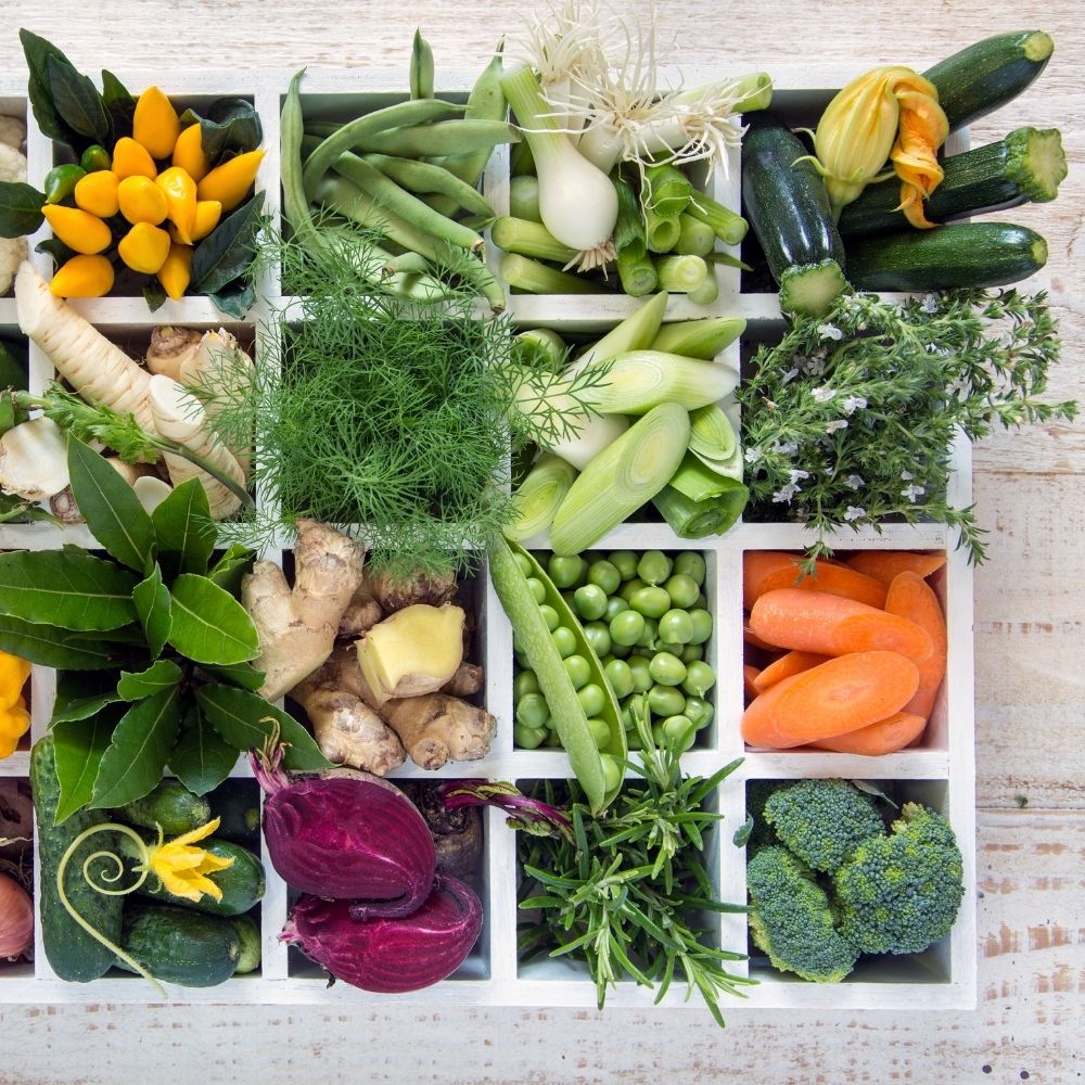 Companion Planting 12+ Vegetables and Herbs That Can Grow Better When Together Simple Easy