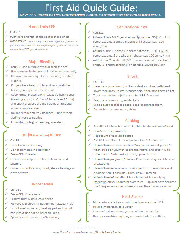 First Aid Essay Telegraph