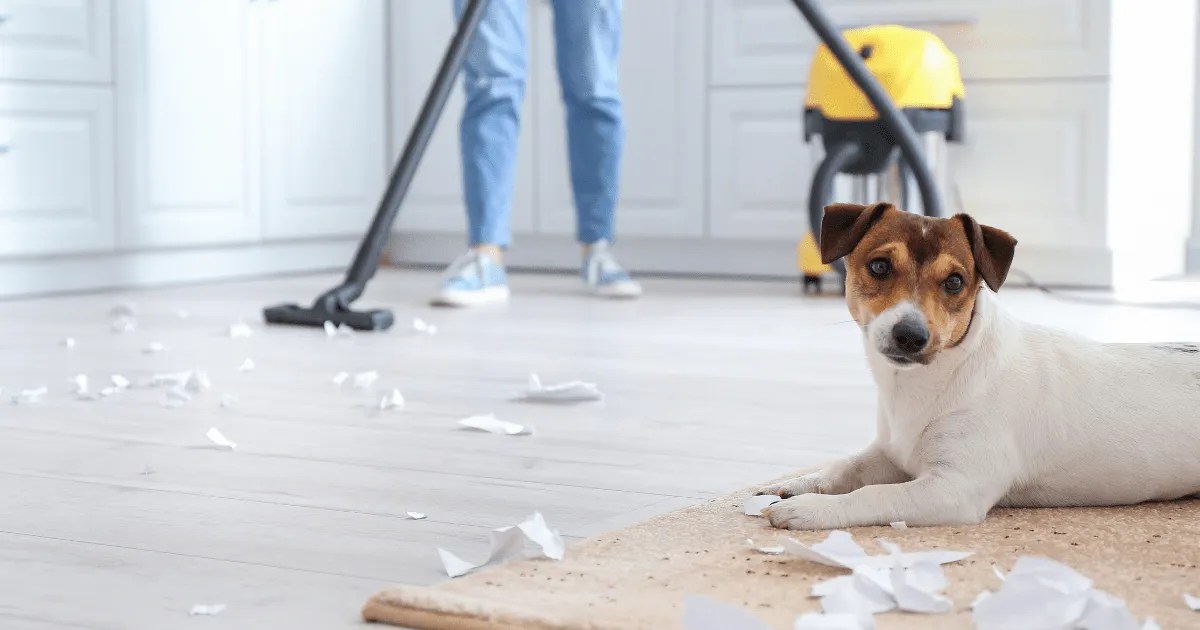 The Best Flooring For 5 Different Residential Situations Simple