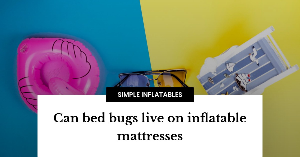 Can bed bugs live on inflatable mattresses? Simple Inflatables