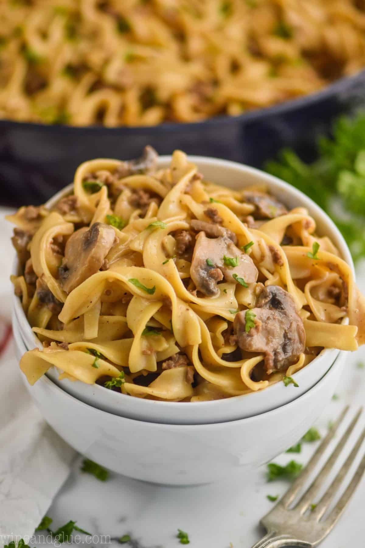 Simple Way to Beef Stroganoff Noodles