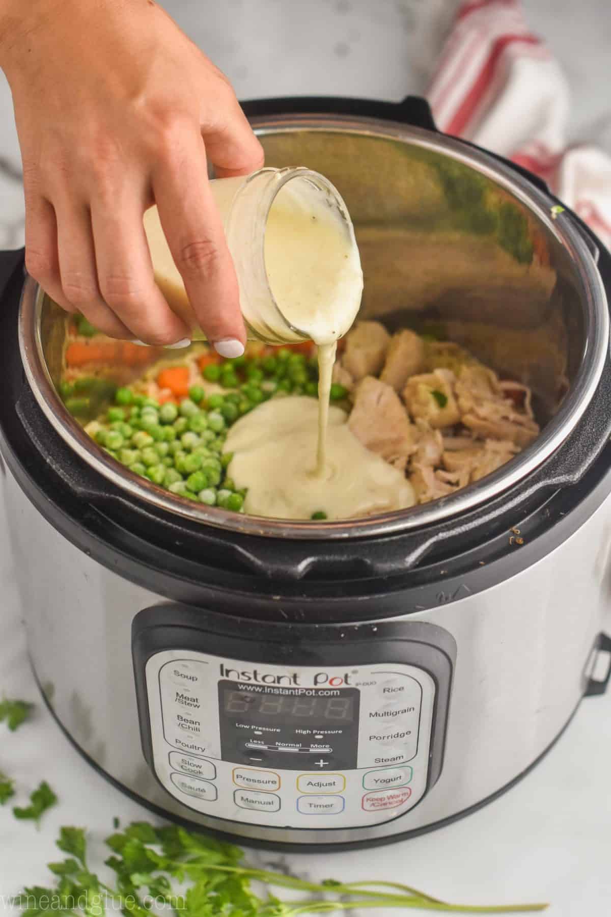 Instant Pot Recipes Chicken And Rice Campbells